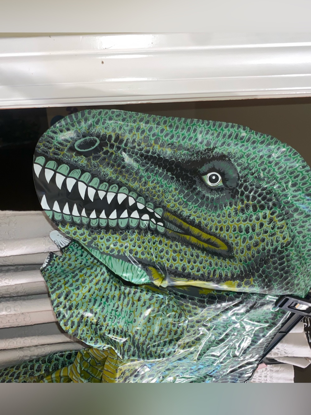 Dinosaur Reptile Blow Ups - Brand Unknown